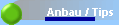 Anbau / Tips